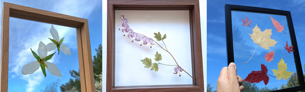 framed flowers