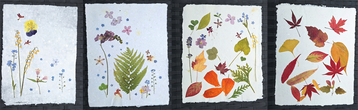 pressed flowers on handmade paper
